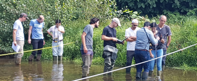 Group of people conducting fieldwork in a stream.